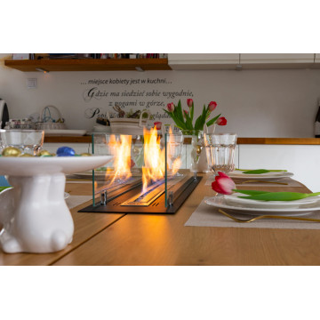 Inbouw biohaard inzet 100 cm mat zwart met beglazing